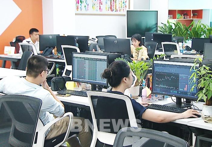Giao dịch viên tại Công ty Cổ phần chứng khoán Nhất Việt (VFS). Ảnh: Trần Trung/Bnews/vnanet.vn