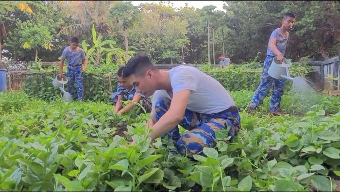 Những vườn rau xanh tốt, đủ chủng loại được cán bộ, chiến sĩ chăm bón hằng ngày.