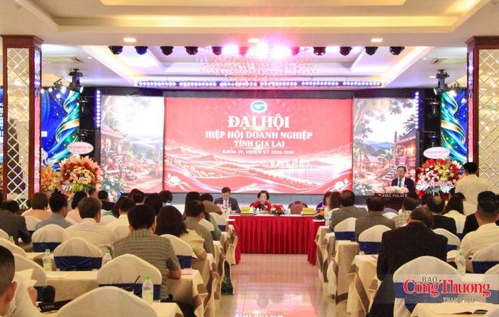 Ngày 11/10, Hiệp hội Doanh nghiệp tỉnh Gia Lai tổ chức Đại hội khóa IV, nhiệm kỳ 2026-2031.