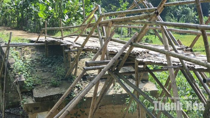 Vật liệu bằng tre luồng dần xuống cấp theo thời gian.