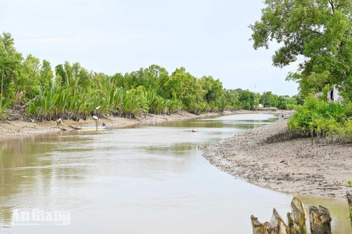 Vào con nước kém, những con sông cạn dần nước là thời điểm lý tưởng để đi bắt sò huyết.