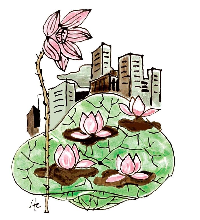  Minh họa: Hà Huy Chương. 