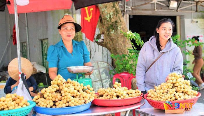 Lòn bon được bày bán dọc các tuyến đường ở các xã vùng xứ Tiên. Ảnh: D.LỆ