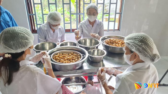 Hợp tác xã thu mua lòn bon để làm sản phẩm OCOP rượu vang lòn bon. Ảnh: D.LỆ