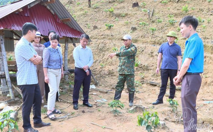 Đoàn giám sát Ban Dân tộc HĐND tỉnh giám sát việc hỗ trợ phát triển sản xuất tại xã Quài Tở. Ảnh: C.T.V