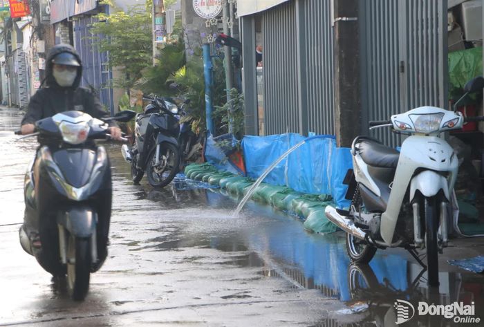 Một hộ dân ven đường Huỳnh Văn Hớn, khu phố Tân Mai, phường Tam Hiệp dùng bao tải cát đắp dọc hàng rào để ngăn nước tràn vào nhà. Ảnh: Phạm Tùng