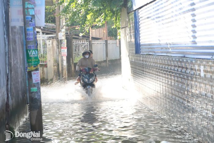 Một tuyến đường hẻm nối với đường Huỳnh Văn Hớn, khu phố Tân Mai, phường Tam Hiệp bị ngập do triều cường dâng cao. Ảnh: Phạm Tùng