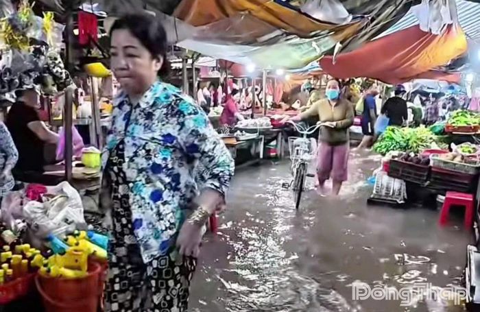 Triều cường gây ngập chợ An Hữu, xã An Hữu ảnh hưởng đến hoạt động mua bán vào chiều 11-10.