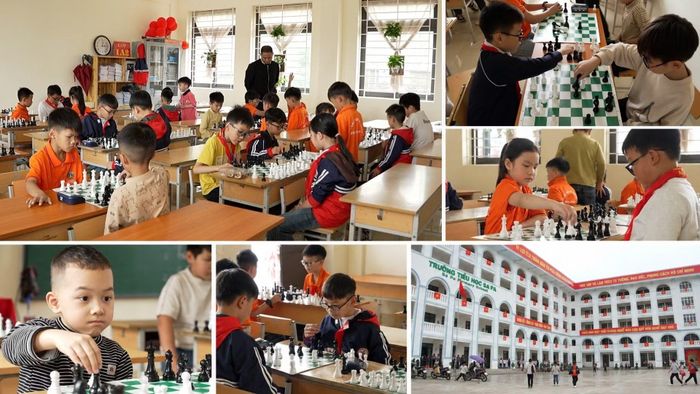 Câu lạc bộ Cờ vua của Trường Tiểu học Sa Pa hiện có hơn 100 học sinh tham gia.