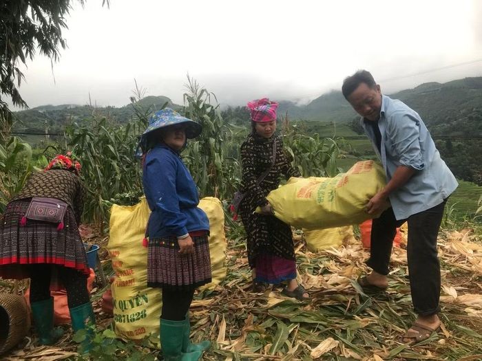 Vắng bóng lực lượng lao động trẻ, công việc đồng áng và sản xuất nông nghiệp tại địa phương chủ yếu đặt lên vai người cao tuổi và phụ nữ.