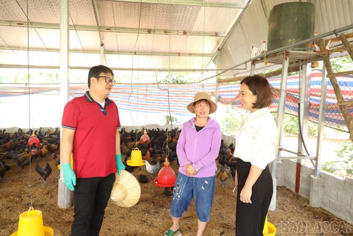 Các thành viên tổ khuyến nông cộng đồng tích cực hướng dẫn người dân kỹ thuật tiêm phòng, các biện pháp phòng, chống dịch bệnh cho đàn vật nuôi.