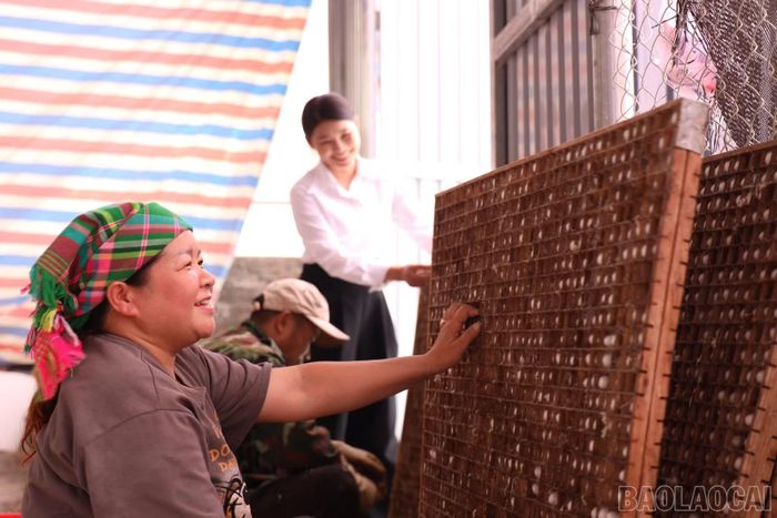Các thành viên Tổ Khuyến nông cộng đồng xã Xuân Ái cùng nhau chia sẻ kinh nghiệm, hợp tác phát triển mô hình trồng dâu, nuôi tằm.