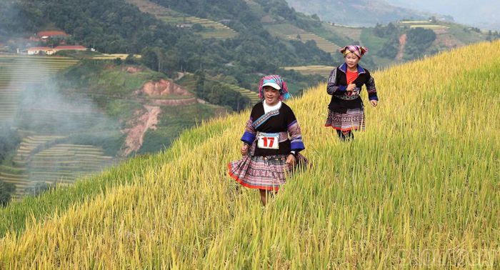 Tinh thần thể thao sôi nổi của các nữ vận động viên người Mông trên cung đường chạy giữa mùa lúa chín.