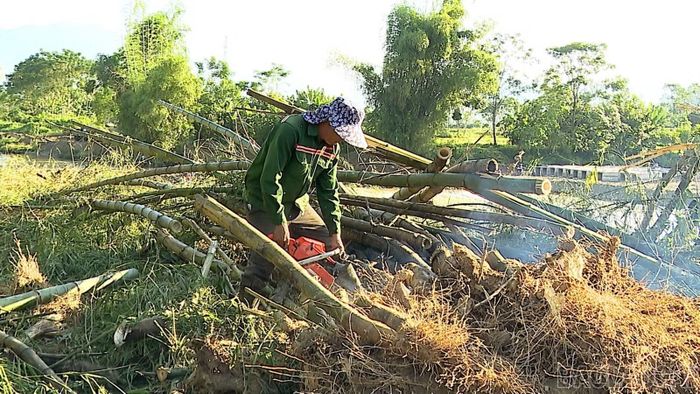 Hiểu rõ lợi ích của Dự án mang lại, ông Hoàng Văn Tâm tổ dân phố Sà Rèn đã chủ động chặt bỏ cây cối, hoa màu để bàn giao mặt bằng.