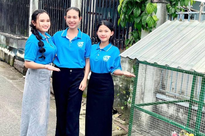 "Ngôi nhà xanh" được đặt tại ngã tư đường vào Nhà văn hoá thôn Chăm