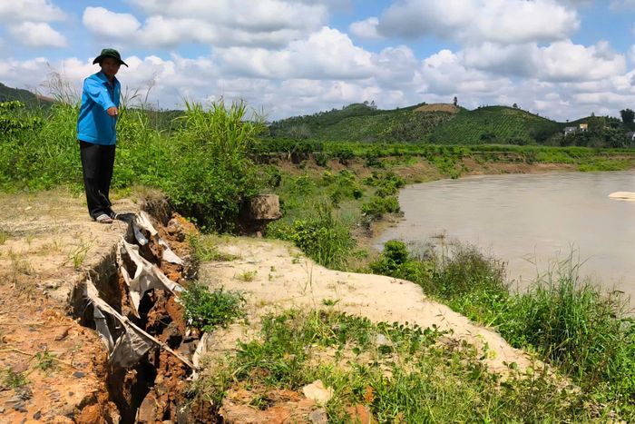 Vết nứt lớn kéo dài bên bờ sông ăn sâu vào đất sản xuất của gia đình ông Hà Văn Đức