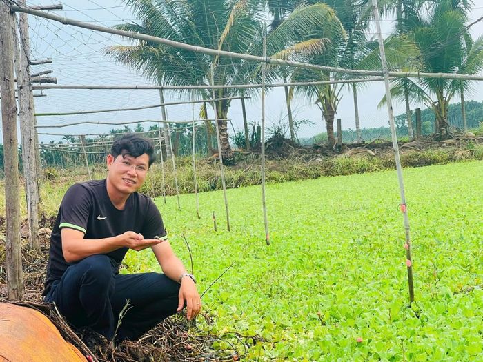 Từ mô hình nuôi ốc bươu đen, anh Nhơn từng bước xây dựng hướng khởi nghiệp gắn với phát triển kinh tế quê hương