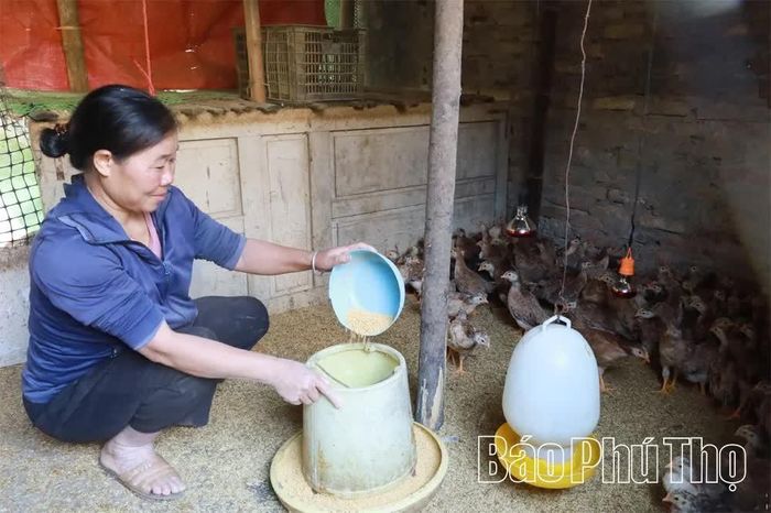 Phụ nữ dân tộc thiểu số thuộc diện hộ nghèo, cận nghèo ở xã Kim Bôi được tham gia các dự án hỗ trợ sinh kế, phát triển sản xuất, ổn định thu nhập.