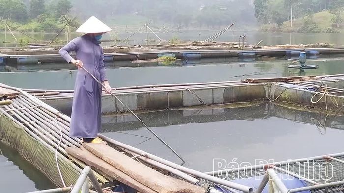 Bên cạnh phục vụ sản xuất nông nghiệp, các hồ, đập lớn trên địa bàn tỉnh còn là môi trường tốt cho việc phát triển thủy sản.