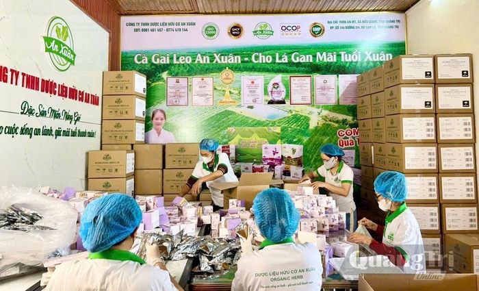 Công ty TNHH Dược liệu hữu cơ An Xuân chú trọng đầu tư sản xuất, nâng cao chất lượng sản phẩm - Ảnh: M.H
