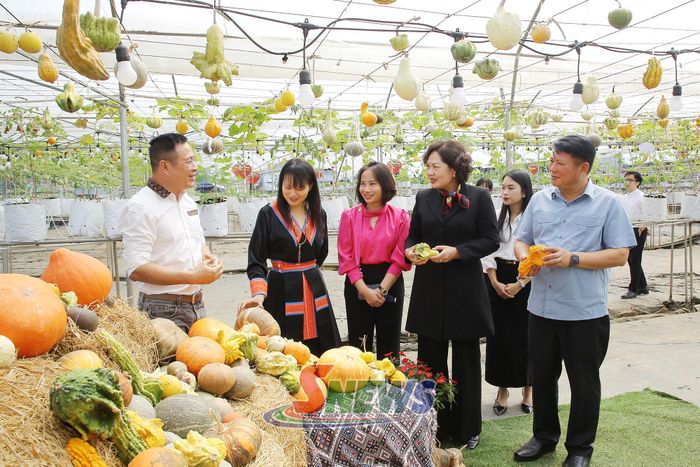 Đồng chí Phó Chủ tịch Quốc hội và đoàn công tác thăm HTX dịch vụ và du lịch nông nghiệp Bon Bon, phường Mộc Châu.