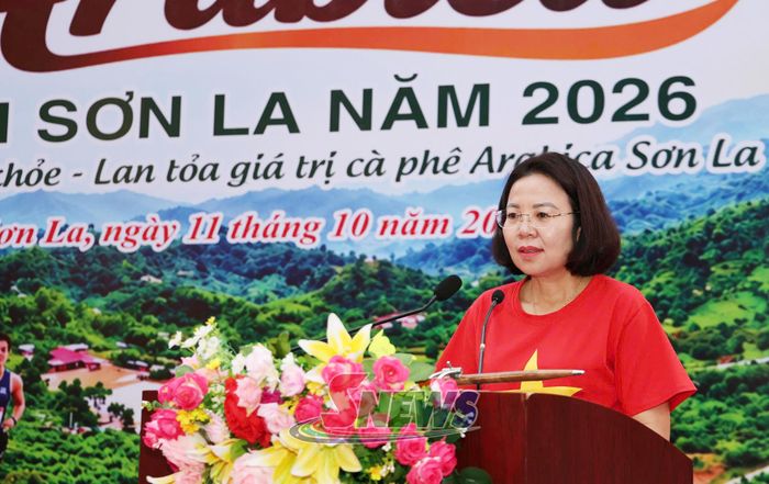Lãnh đạo Sở Văn hóa, Thể thao và Du lịch phát biểu tại Lễ khai mạc giải.