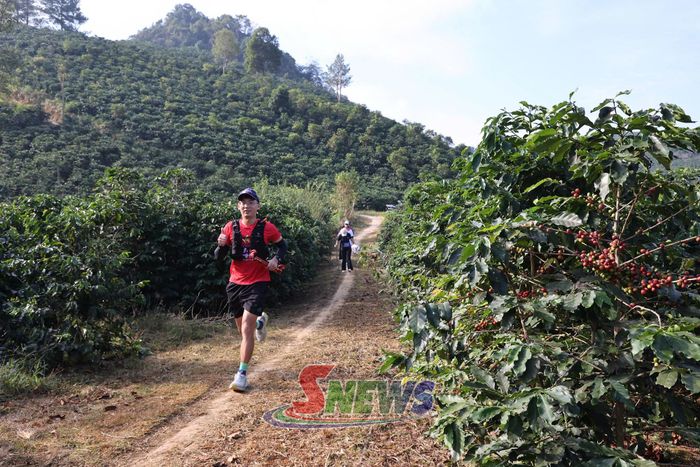 Cung đường qua nương cà phê bạt ngàn.