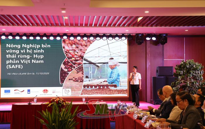 Các đại biểu trao đổi, thảo luận giải pháp phát triển cà phê Sơn La theo hướng sinh thái, bền vững.