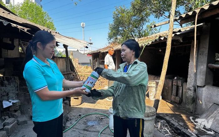 Người dân được Nhà nước hỗ trợ thuốc sát khuẩn để vệ sinh, tiêu độc chuồng trại, góp phần phòng ngừa dịch bệnh và bảo vệ môi trường.