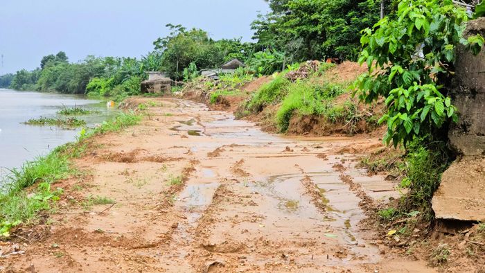 Nhằm hạn chế thấp nhất nguy cơ thiệt hại do thiên tai gây ra và bảo đảm tiến độ, giải ngân nguồn vốn đã được bố trí trong năm 2026, UBND các xã Triệu Bình, Triệu Cơ, Vĩnh Định (chủ đầu tư) cũng đã yêu cầu nhà thầu tranh thủ thời tiết thuận lợi đẩy nhanh thi công, xây dựng tiến độ cụ thể đối với từng hạng mục, tổ chức thi công khoa học, đảm chất lượng và an toàn công trình.