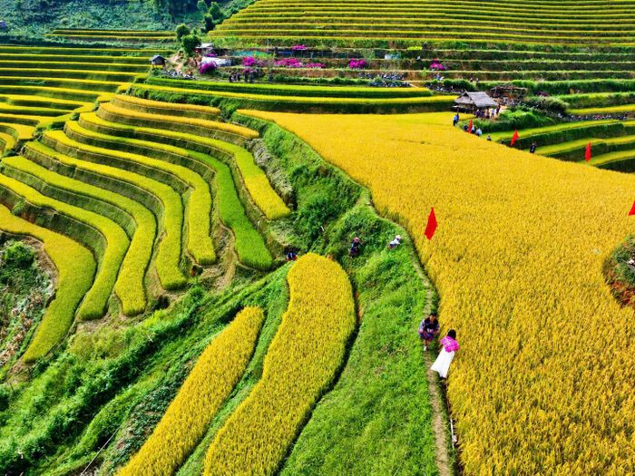 Vượt qua các vận động viên, sau 30 phút em Giàng Nguyệt Nga, xã Lao Chải về nhất; vận động viên Sùng Thị Thum ở xã Chế Tạo về đích thứ 2 và Lờ Thị Dà, xã Lao Chải về đích thứ 3.