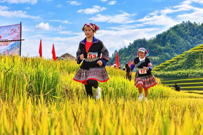 Chị Thuỳ Dương cùng chồng, du khách từ Hà Nội, chia sẻ: “Tôi rất ấn tượng với hình ảnh các chị em mặc trang phục truyền thống tham gia chạy bộ. Khung cảnh núi rừng, ruộng bậc thang đã đẹp, khi có thêm sắc màu váy áo và tiếng cổ vũ của mọi người lại càng sinh động. Hoạt động này giúp du khách hiểu hơn về văn hóa địa phương, đồng thời cảm nhận được sự năng động, mến khách của người dân Lao Chải”.