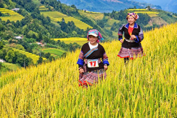 Không khí sôi nổi của giải chạy cũng mang đến những trải nghiệm đáng nhớ cho người dân và du khách đến với Lễ hội “Sắc chàm Lao Chải”. Với nhiều người, hình ảnh những vận động viên nữ trong trang phục truyền thống rực rỡ, sải bước giữa không gian ruộng bậc thang là một trong những khoảnh khắc đáng nhớ của hành trình khám phá vùng đất này.