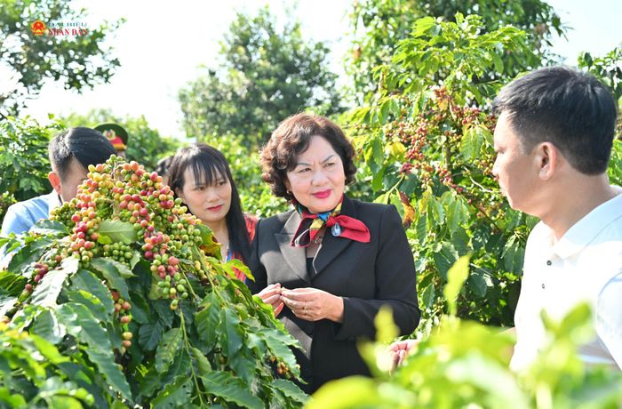 Phó Chủ tịch Quốc hội Nguyễn Thị Hồng thăm cơ sở sản xuất, chế biến cà phê của Công ty Cổ phần Phúc Sinh Sơn La