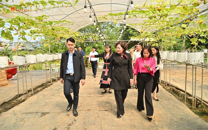 Phó Chủ tịch Quốc hội Nguyễn Thị Hồng thăm mô hình nông nghiệp ứng dụng công nghệ cao, kinh tế tuần hoàn tại Hợp tác xã nông nghiệp Bon Bon Farm