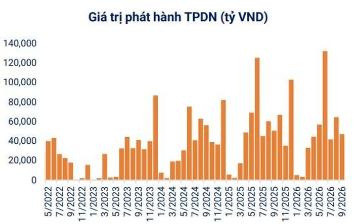 Nguồn: VBMA