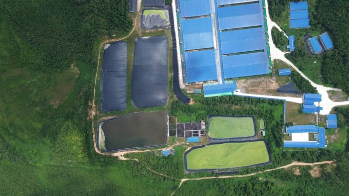Cuối tháng 10/2025, người dân thôn Lâm Chính dựng lán, túc trực ngày đêm trước cổng trang trại chăn nuôi lợn của Công ty cổ phần Đầu tư Quốc tế Asean để phản đối tình trạng ô nhiễm.