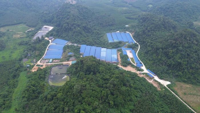 tháng 3/2025, người dân sinh sống cạnh suối Lèn Cò Nóong, thuộc xã Thanh Xuân trước đây, cũng phản ánh tình trạng ô nhiễm nghi do trang trại chăn nuôi lợn đầu nguồn của Công ty TNHH Phát triển chăn nuôi Như Xuân xả thải ra môi trường.