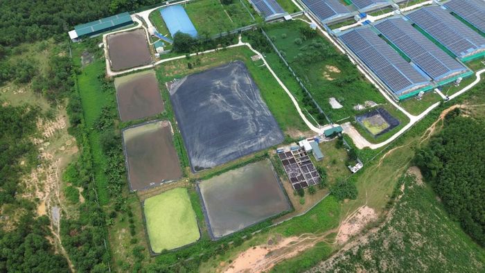 Sau khi kiểm tra, UBND xã Thanh Quân và Sở Nông nghiệp và Môi trường tỉnh Thanh Hóa đã ban hành Quyết định xử phạt vi phạm hành chính đối với các trại lợn vi phạm, tổng số tiền hơn 660 triệu đồng.