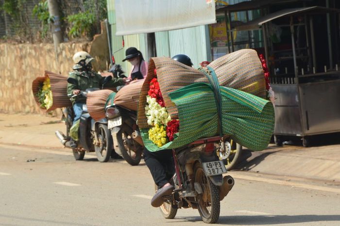Người dân chở hoa đi tiêu thụ.