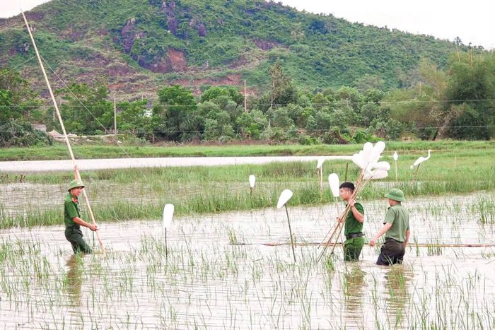 Trong thời gian tới, tỉnh Hà Tĩnh tiếp tục ra quân, ngăn chặn và xử lý nghiêm các đối tượng vi phạm, không để hình thành điểm nóng, tụ điểm.
