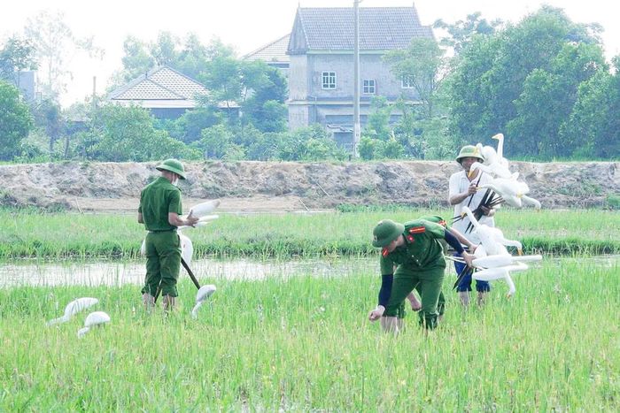 Lực lượng Công an thường xuyên ra quân, thu gom các công cụ dùng để bẫy, bắt chim trời.