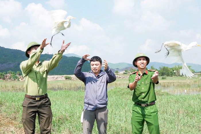 Bên cạnh ngăn ngừa, ngành chức năng cũng đã thu giữ, phóng sinh nhiều cá thể chim còn sống.