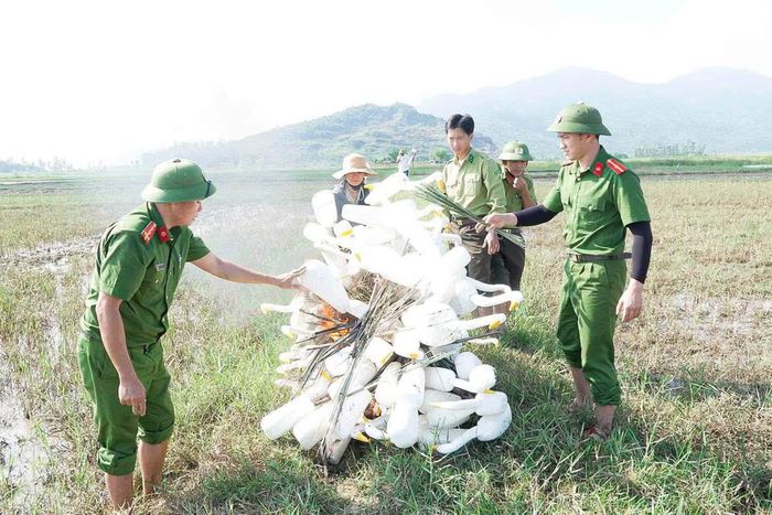 Hàng trăm công cụ đã được thu gom, tiêu huỷ để ngăn chặn tình trạng đánh bắt chim trời.