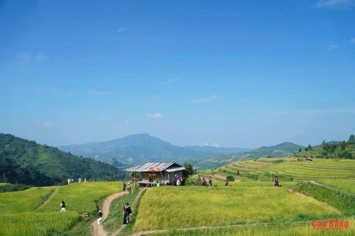 Cánh đồng Phù Lồng, xã Pu Nhi, tỉnh Điện Biên thu hút khách du lịch.