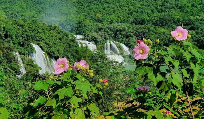                                                    Tiềm năng du lịch Cao Bằng đến từ những cảnh sắc bình dị bản làng                                                             Ảnh Ngọc Sơn