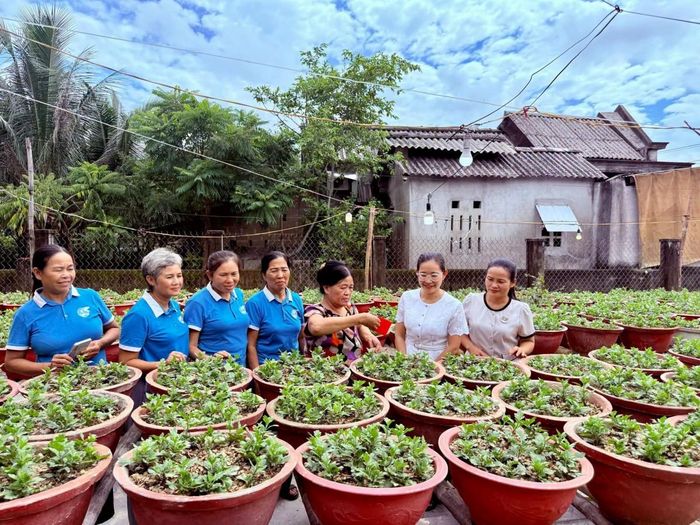 Nguồn rác sau xử lý được tận dụng phục vụ chăm sóc cây trồng, góp phần sử dụng hiệu quả nguồn tài nguyên hữu cơ, hạn chế lãng phí, bảo vệ môi trường