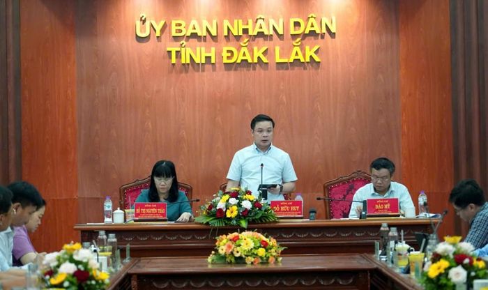 Chủ tịch UBND tỉnh Đỗ Hữu Huy phát biểu chỉ đạo.