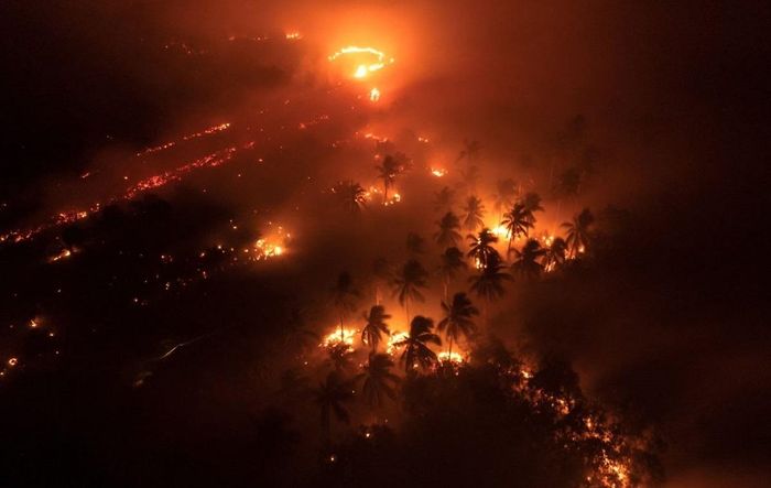 Đám cháy lan rộng tại khu rừng ở Sungai Putri, Tây Kalimantan, Indonesia, cuối tháng 9/2026. (Ảnh: Reuters)