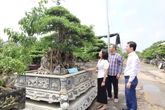 Lãnh đạo Hội Nông dân xã Thiên Lộc thăm mô hình trồng cây cảnh trên địa bàn. Ảnh: Nguyễn Mai